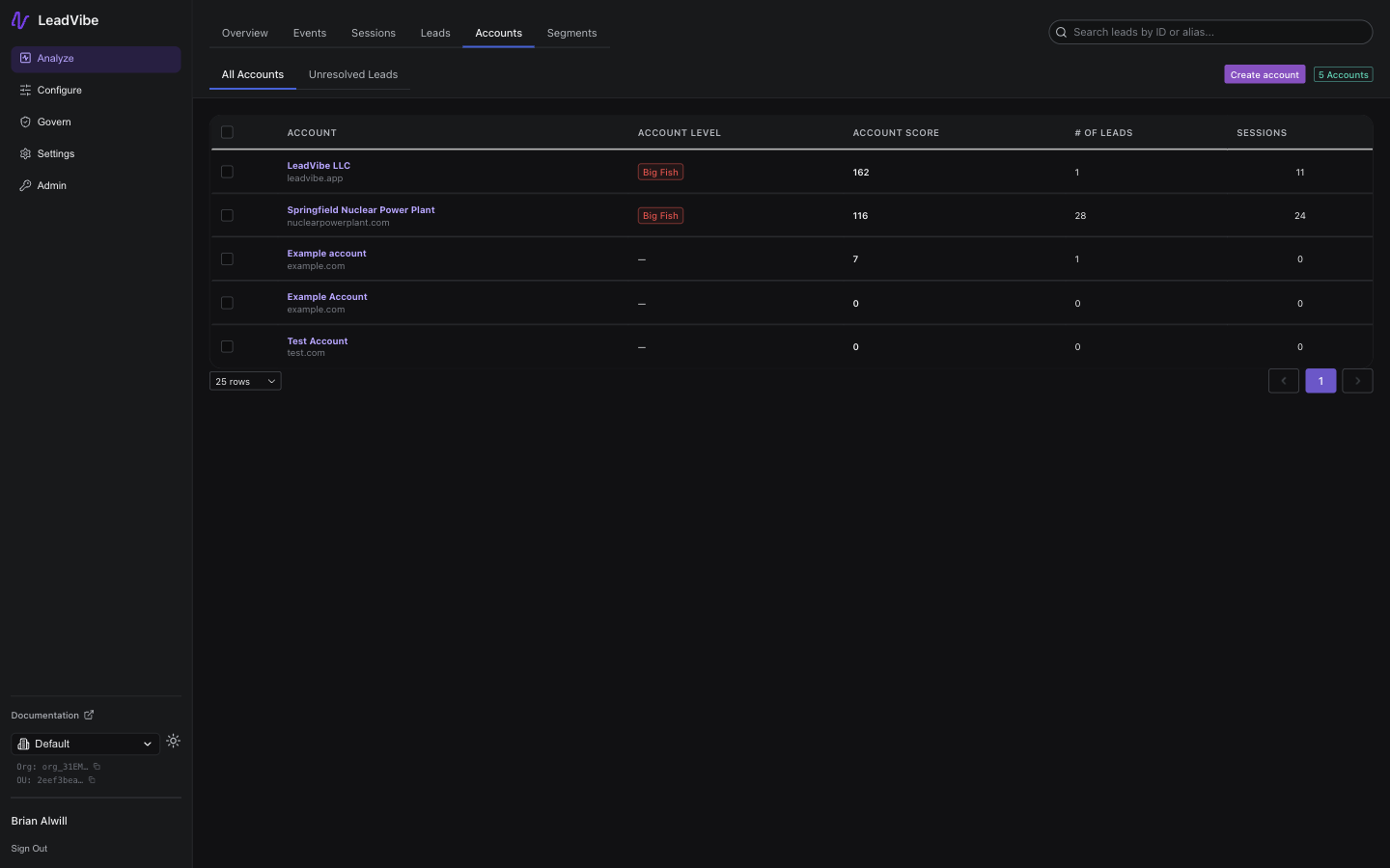 Accounts list page showing the accounts table with account name, domain, account level badges, account score, lead count, and sessions columns